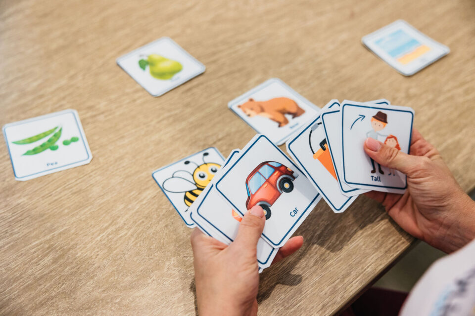 Minimal Pairs - a Parent’s Guide 1 Minimal pairs cards