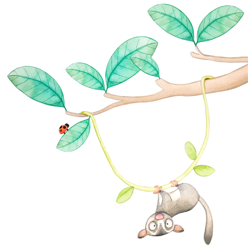 Possum in Tree Graphic