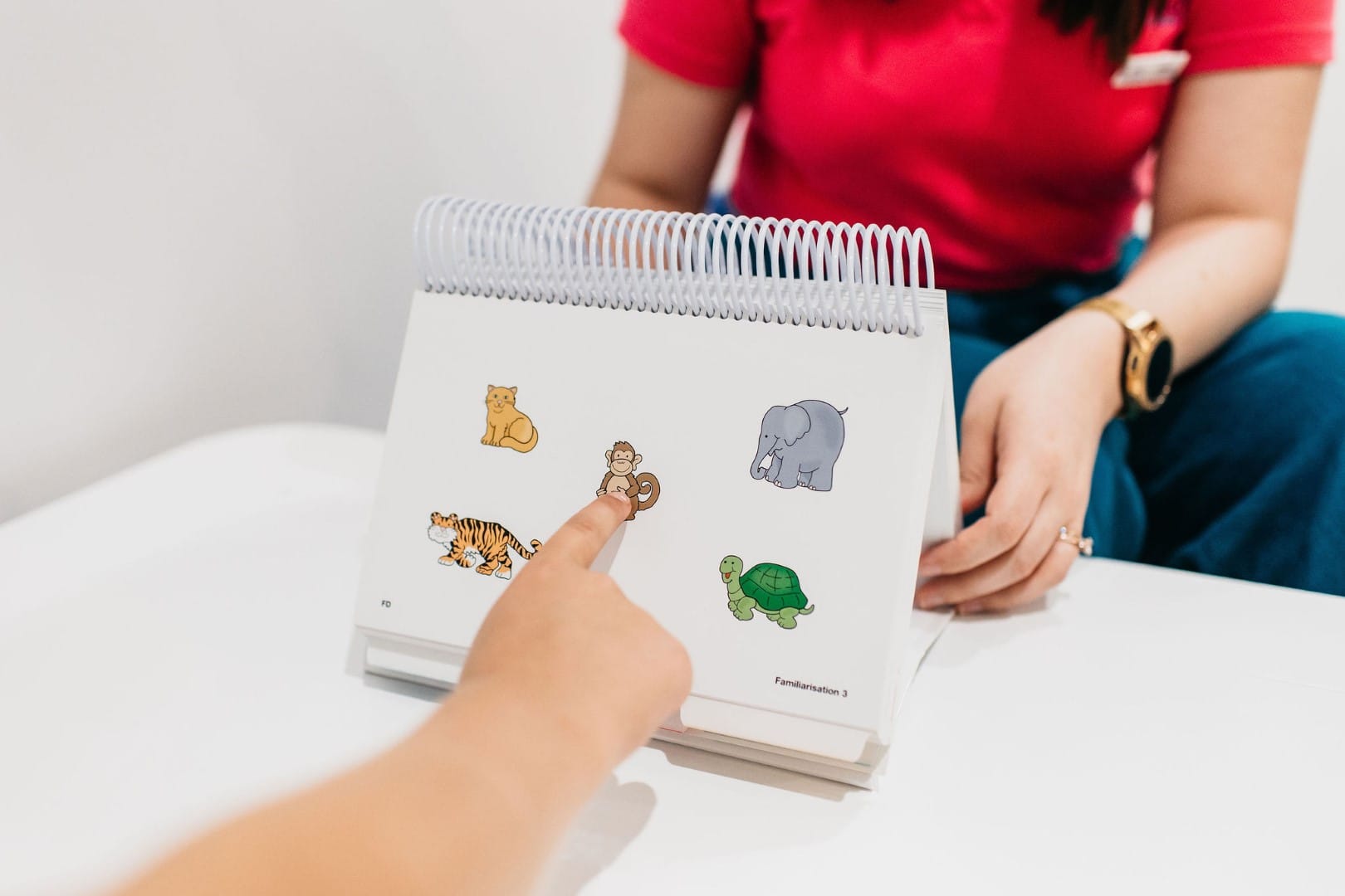Speech Pathology Cards
