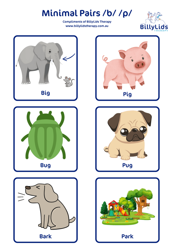 Minimal Pairs - a Parent’s Guide 28 Voice minimal pair b → p